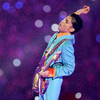 Prince's £1,500 coffee table book for sale
