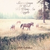 Bill Callahan: <em>Sometimes I Wish We Were An Eagle</em>