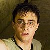<em>Harry Potter</em> Comes Alive at Chicago Museum
