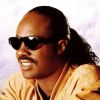 Stevie Wonder Kicks Off Montréal Jazz Fest With Free Show