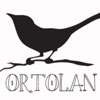 Ortolan Streams EP, Preps Full-Length for Fall