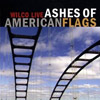 Ashes of American Flags