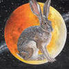 Osso Quartet Reimagines Sufjan Stevens' <em>Enjoy Your Rabbit</em>