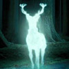 Lil Wayne is a Bullfrog: <em>Paste</em> Puts the Patronus Charm on Nine Musical Artists