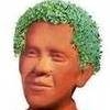 Finally, Barack Obama Immortalized as Chia Pet