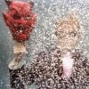 Ty Segall Takes <em>Lemons</em> And Makes Really Big Fall Tour