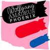 Passion Pit, Friendly Fires, Animal Collective Remix Phoenix on Upcoming Album