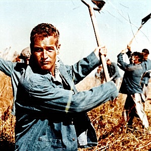 The 10 Greatest Anti-Heroes: #8 "Cool Hand" Luke Jackson