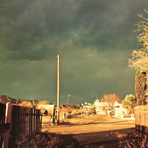 Bill Mallonee: <i>Amber Waves</i>