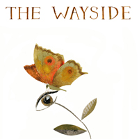 <i>The Wayside</i> by Julie Morstad