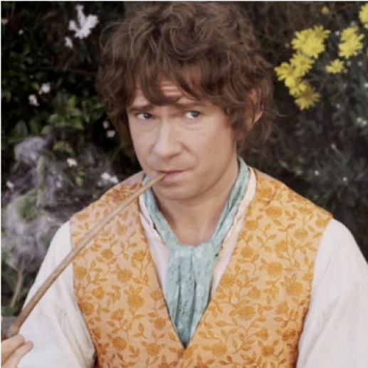 <i>The Hobbit: An Unexpected Journey</i>