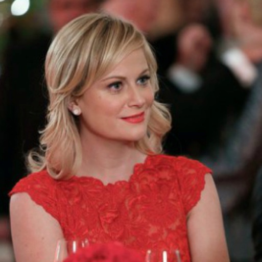 <em>Parks and Recreation</em> Review: "Emergency Response" (Episode 5.13)