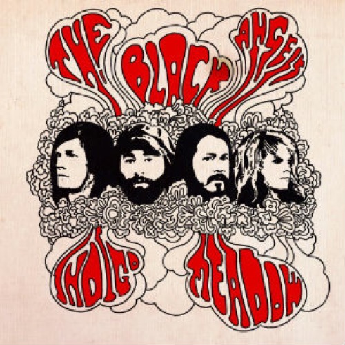 The Black Angels: <i>Indigo Meadow</i>