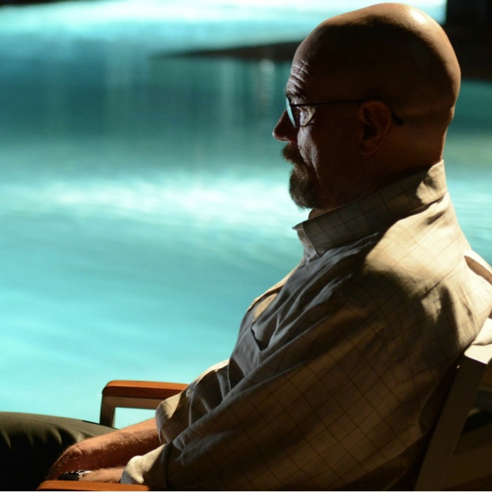 breaking bad bear in pool