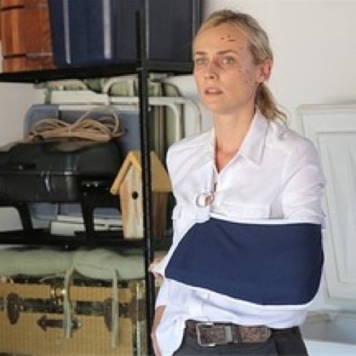 <i>The Bridge</i> Review: "Old Friends" (Episode 1.10)