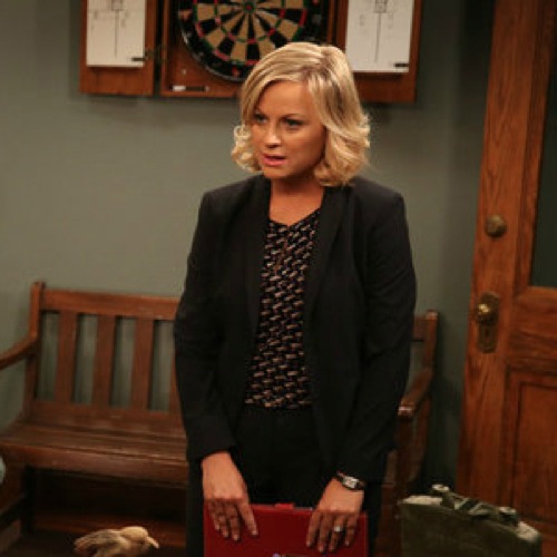 <em>Parks and Recreation</em> Review: "Doppelgängers" (Episode 6.04)