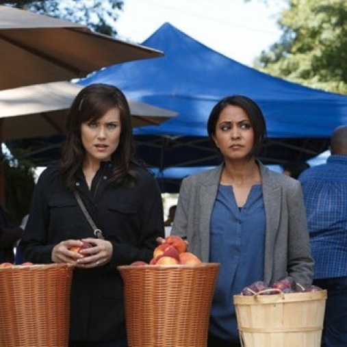 <i>The Blacklist</i> Review: "The Courier" (Episode 1.05)