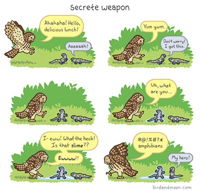 secreteweapon.jpg