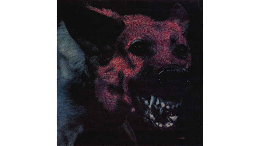 Là tout de suite, j'écoute Protomartyr_LP1