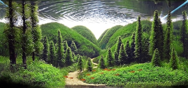 AquaticArt1.jpg