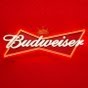 Budweiser's "Buddy Cup" Makes Facebook Friends Of Us All