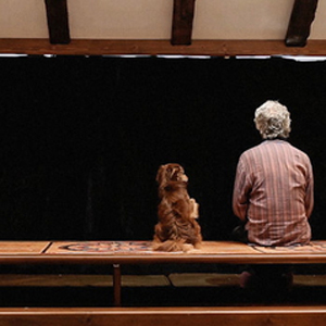 <i>Closed Curtain</i> (2013 TIFF review)