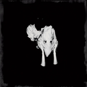Sigur Rós to Broadcast Live Interactive Show Tomorrow