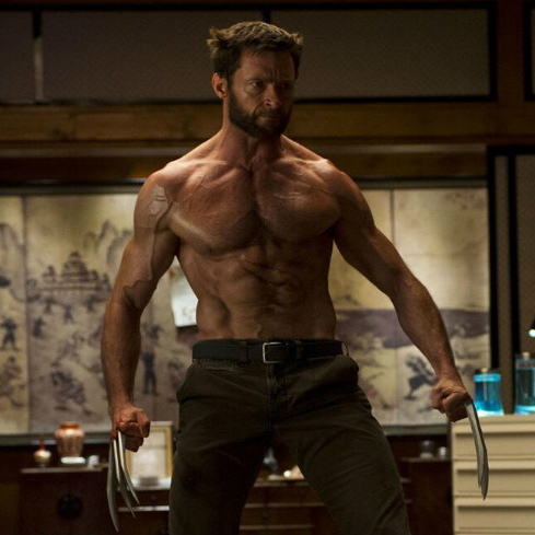 <i>The Wolverine</i>