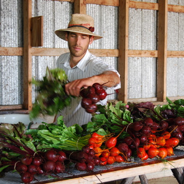 <i>To Make a Farm</i>