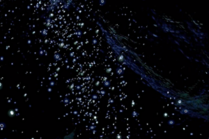 Watch the Video for The Antlers' "Drift Dive"