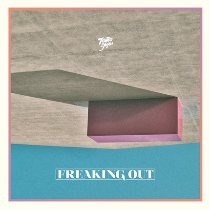 toroymoi_freakingout.jpg