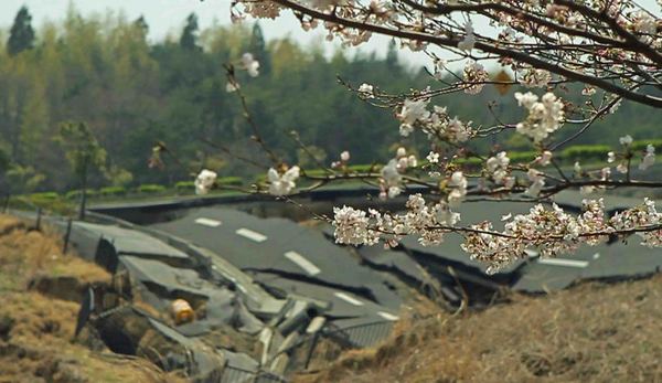 tsunami_and_the_cherry_blossom_filmstill5__120125071140.jpg
