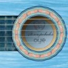 Aterciopelados