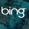 Bing: The Next Big Search Engine?