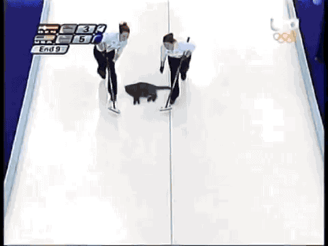 curlinggif.gif