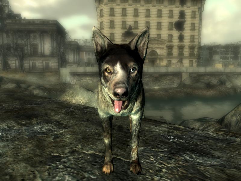 fallout 3 all companions