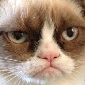 Grumpy Cat to Star In <i>Garfield</i>-Inspired Family Comedy