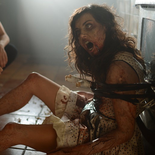 Life After Beth Trailer: Zombie. 