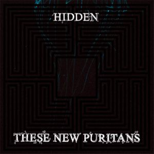These New Puritans: <em>Hidden</em>
