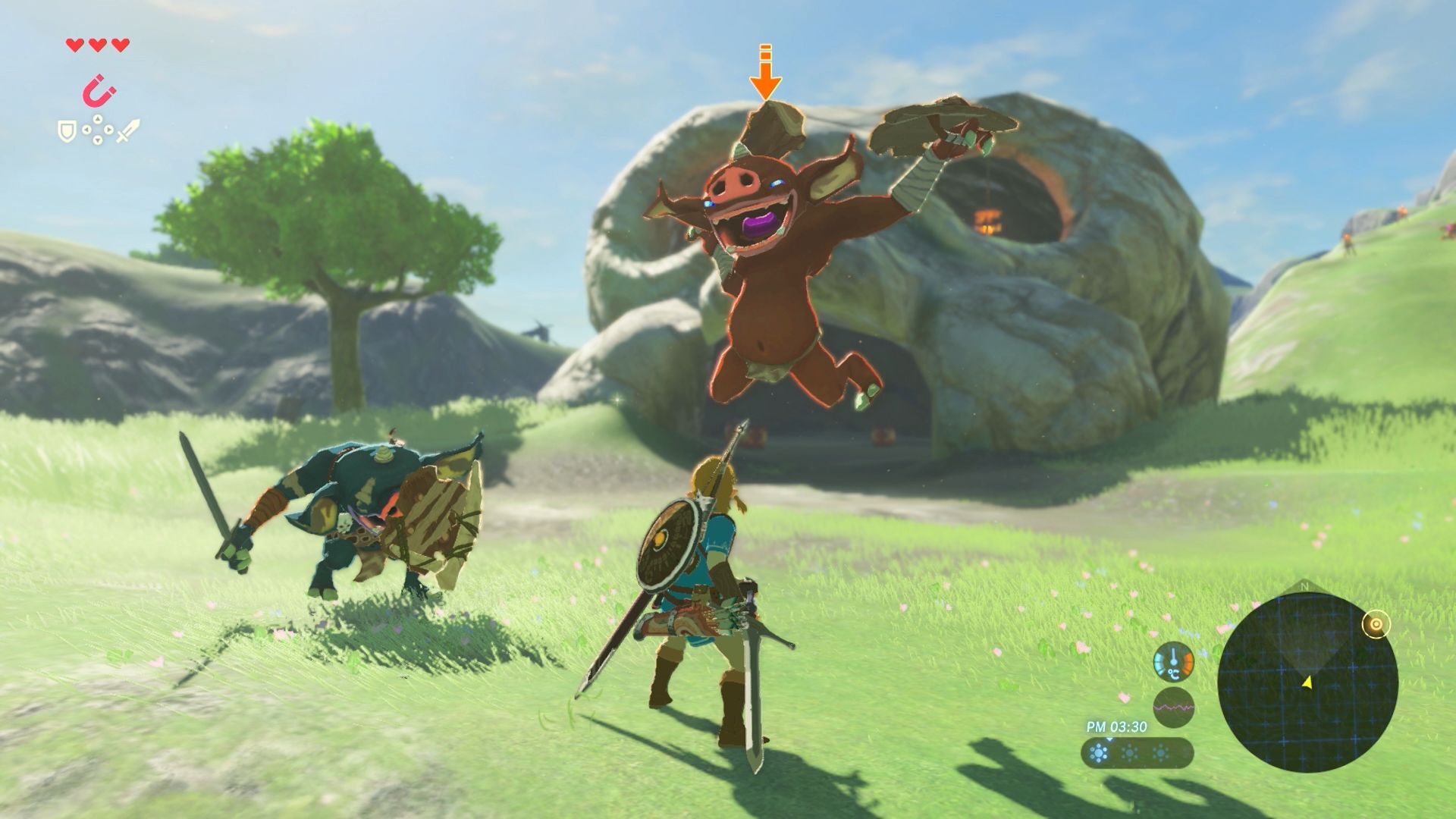 The Legend of Zelda™: Breath of the Wild