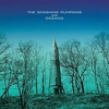 Smashing Pumpkins Detail <i>Oceania</i>