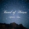 Band of Horses: <em>Infinite Arms</em>