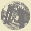 Ty Segall & White Fence: <em>Hair</em>