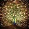 Ani DiFranco: <i>Which Side Are You On?</i>