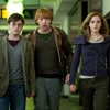 <em>Harry Potter and the Deathly Hallows</em> to Be Released In 3D