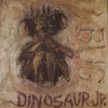 Dinosaur Jr. To Release Fan-Shot DVD