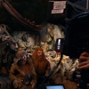 Peter Jackson Releases Seventh Hobbit Video Blog