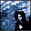 Watch Jack White's <i>Colbert Report</i> Appearance