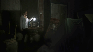 <i>Silent House</i>