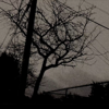 Watch the Video for Sun Kil Moon's "Black Kite"